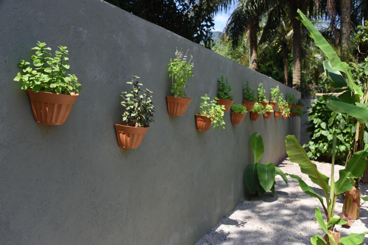 Pousada Porto Mare Maresias Exterior photo